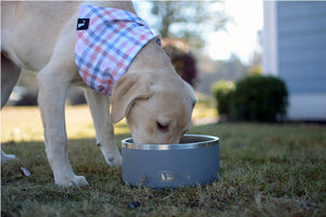 Local Boy Dog Bowl Charcoal