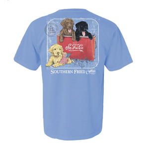 Southern Fried Cotton Fun Times SS Tee