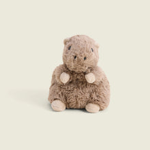 Load image into Gallery viewer, Capybara Junior Warmies